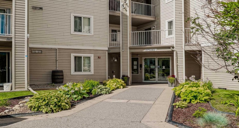 1717 60 Street, Calgary, Alberta T2A 7Y7, 1 Bedroom Bedrooms, 0 ,1 BathroomBathrooms,Residential,For Sale,60,0,A2326434