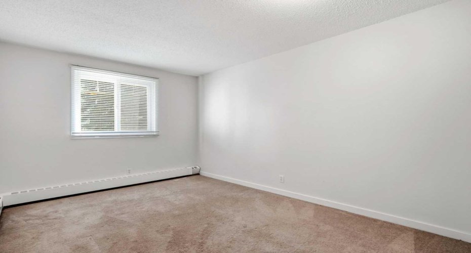 Carpeted primary