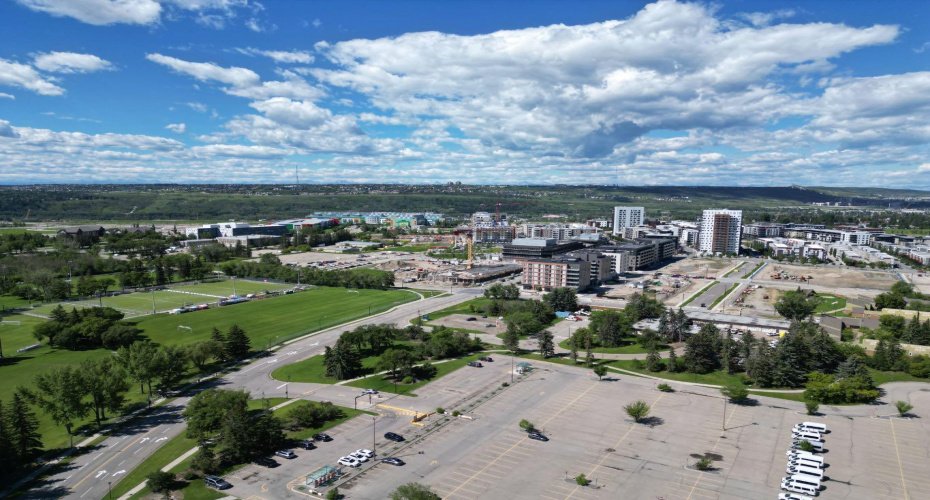University district