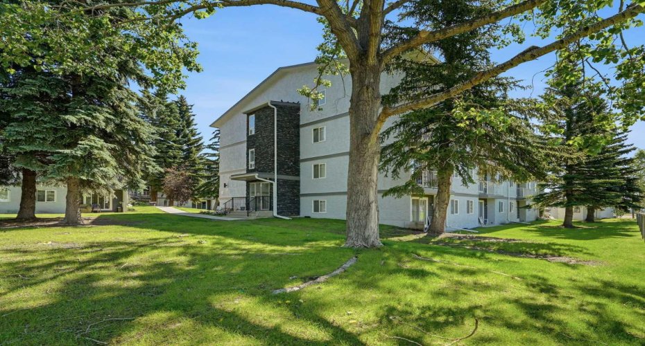 Building stucco exterior recently replaced,  sunny green spaces, a great view to start or end your day with.