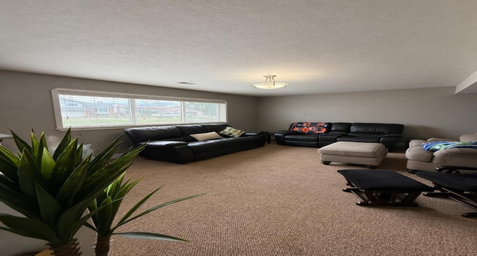 Lower Level Family Room