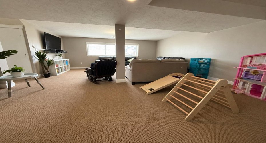 Lower Level Family Room