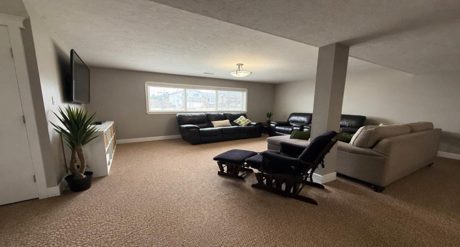 Lower Level Family Room