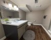 Lower Level Bathroom