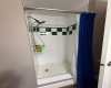 Lower Level Bathroom