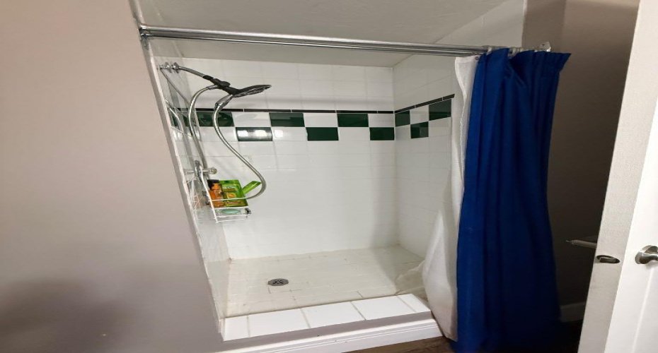 Lower Level Bathroom
