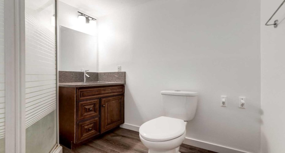Full bathroom 2 - new vinyl floor
