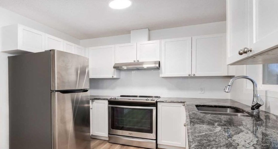 Upgraded kitchen - cabinets and hood fan