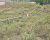 430 Cottageclub Cove, Rural Rocky View County, Alberta T4C 1B1, 0 , 0 ,0,Land,For Sale,Cottageclub,0,A2202942