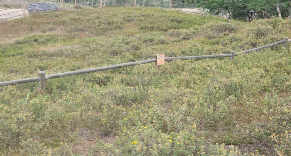 430 Cottageclub Cove, Rural Rocky View County, Alberta T4C 1B1, 0 , 0 ,0,Land,For Sale,Cottageclub,0,A2202942