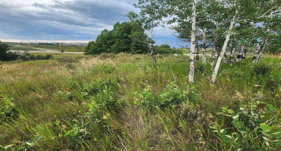 430 Cottageclub Cove, Rural Rocky View County, Alberta T4C 1B1, 0 , 0 ,0,Land,For Sale,Cottageclub,0,A2202942