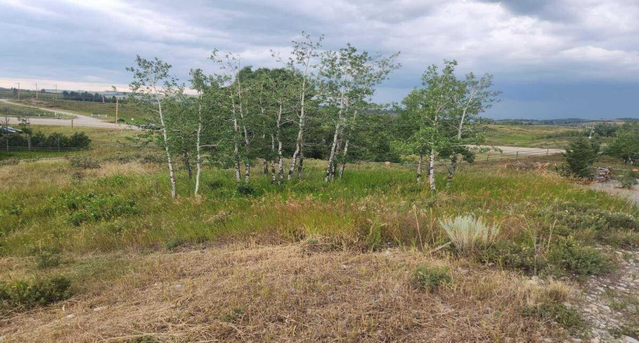 430 Cottageclub Cove, Rural Rocky View County, Alberta T4C 1B1, 0 , 0 ,0,Land,For Sale,Cottageclub,0,A2202942
