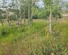 430 Cottageclub Cove, Rural Rocky View County, Alberta T4C 1B1, 0 , 0 ,0,Land,For Sale,Cottageclub,0,A2202942