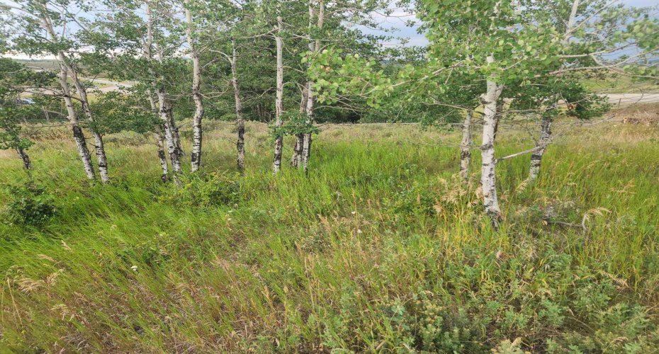 430 Cottageclub Cove, Rural Rocky View County, Alberta T4C 1B1, 0 , 0 ,0,Land,For Sale,Cottageclub,0,A2202942