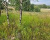 430 Cottageclub Cove, Rural Rocky View County, Alberta T4C 1B1, 0 , 0 ,0,Land,For Sale,Cottageclub,0,A2202942
