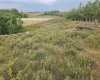 430 Cottageclub Cove, Rural Rocky View County, Alberta T4C 1B1, 0 , 0 ,0,Land,For Sale,Cottageclub,0,A2202942