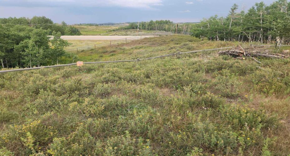 430 Cottageclub Cove, Rural Rocky View County, Alberta T4C 1B1, 0 , 0 ,0,Land,For Sale,Cottageclub,0,A2202942