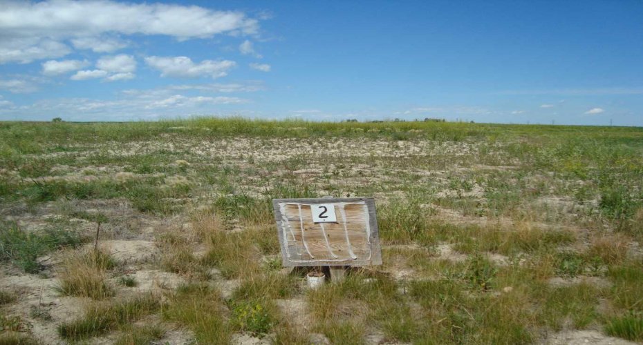 512 Coulee Trail, Stavely, Alberta T0L 1Z0, 0 , 0 ,0,Land,For Sale,Coulee,0,A2239233