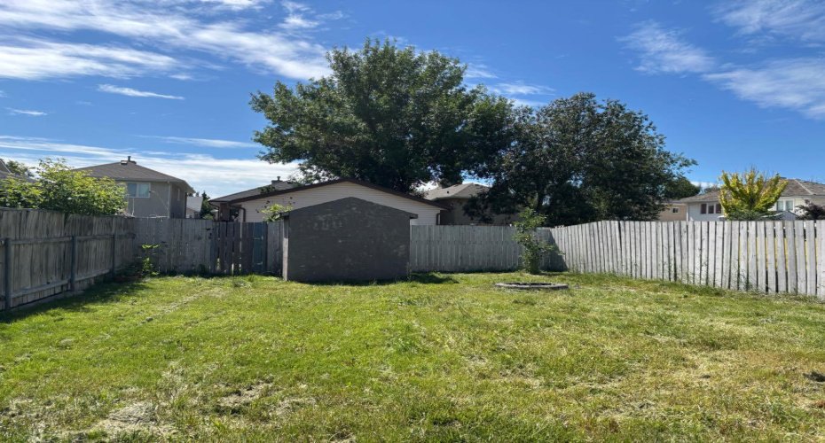 large back yard