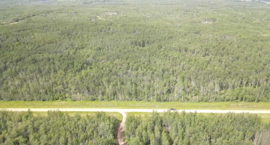Range Road 222, Rural Northern Lights, County of, Alberta T8S 1S4, 0 , 0 ,0,Land,For Sale,Range Road 222,0,A2327040