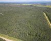 Range Road 222, Rural Northern Lights, County of, Alberta T8S 1S4, 0 , 0 ,0,Land,For Sale,Range Road 222,0,A2327040