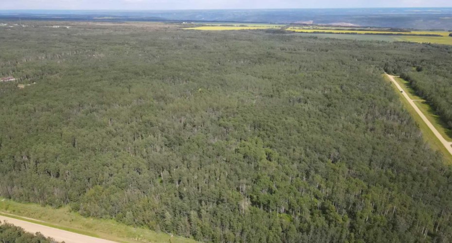 Range Road 222, Rural Northern Lights, County of, Alberta T8S 1S4, 0 , 0 ,0,Land,For Sale,Range Road 222,0,A2327040