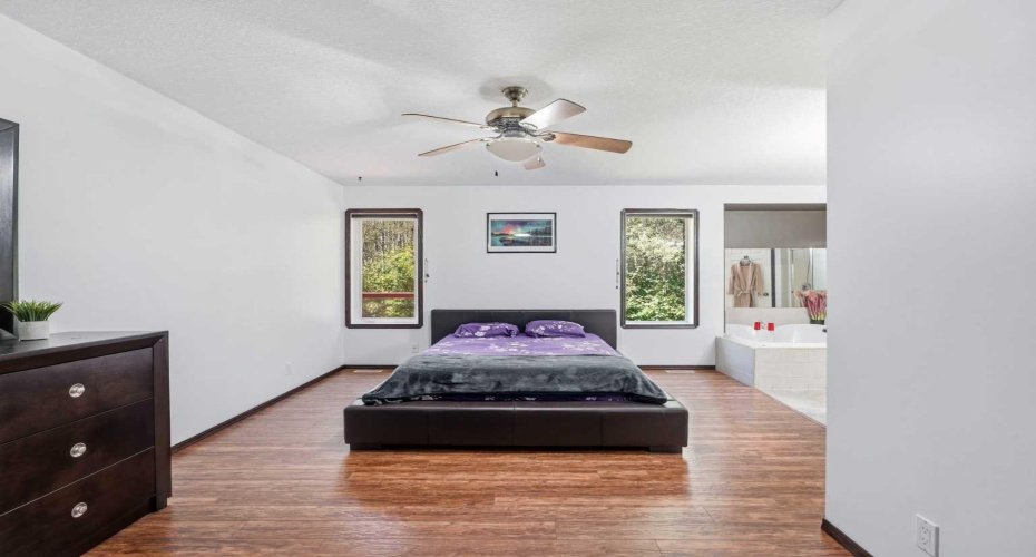 Huge Primary Suite