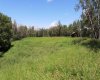 430006 Range Road 232, Rural Ponoka County, Alberta T4J 1R1, 3 Bedroom Bedrooms, 0 ,1 BathroomBathrooms,Residential,For Sale,Range Road 232,0,A2327150