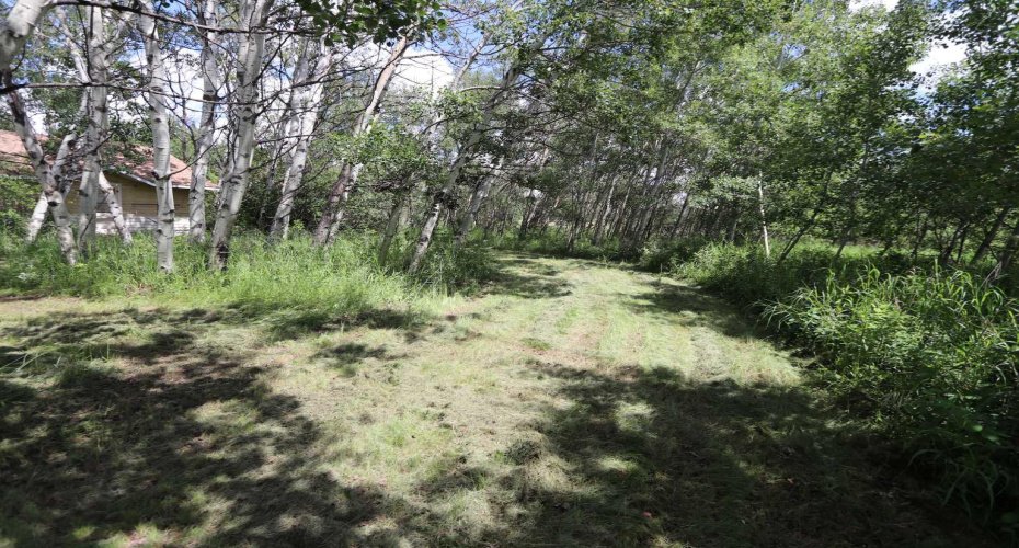 430006 Range Road 232, Rural Ponoka County, Alberta T4J 1R1, 3 Bedroom Bedrooms, 0 ,1 BathroomBathrooms,Residential,For Sale,Range Road 232,0,A2327150
