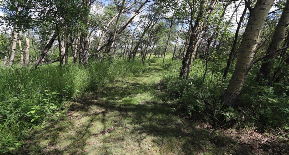 430006 Range Road 232, Rural Ponoka County, Alberta T4J 1R1, 3 Bedroom Bedrooms, 0 ,1 BathroomBathrooms,Residential,For Sale,Range Road 232,0,A2327150