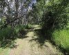 430006 Range Road 232, Rural Ponoka County, Alberta T4J 1R1, 3 Bedroom Bedrooms, 0 ,1 BathroomBathrooms,Residential,For Sale,Range Road 232,0,A2327150