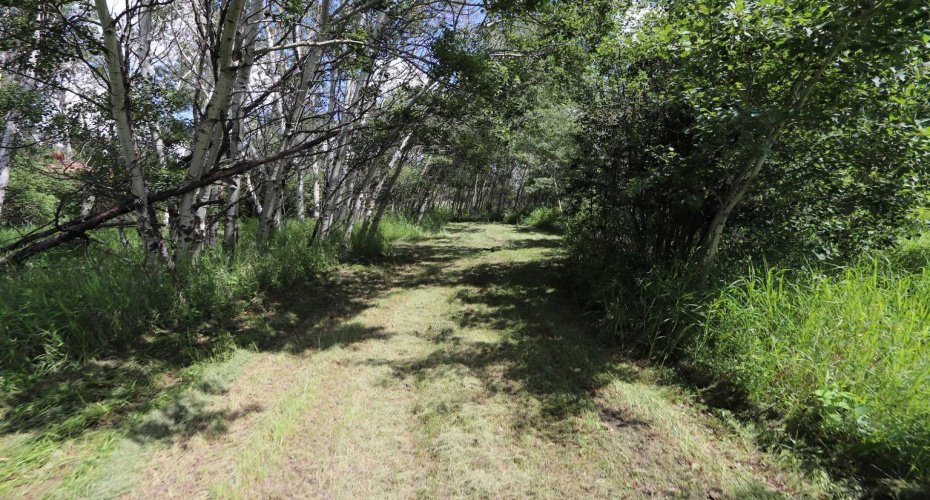 430006 Range Road 232, Rural Ponoka County, Alberta T4J 1R1, 3 Bedroom Bedrooms, 0 ,1 BathroomBathrooms,Residential,For Sale,Range Road 232,0,A2327150