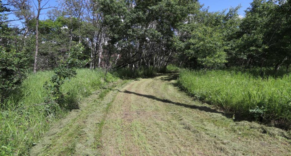 430006 Range Road 232, Rural Ponoka County, Alberta T4J 1R1, 3 Bedroom Bedrooms, 0 ,1 BathroomBathrooms,Residential,For Sale,Range Road 232,0,A2327150