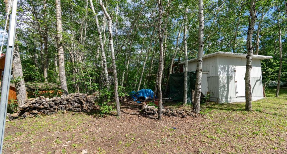 42 Buffalo Lane, Rural Stettler No. 6, County of, Alberta T0C 2L0, 0 , 0 ,0,Land,For Sale,Buffalo,0,A2327245