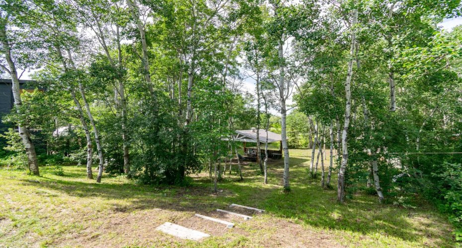 42 Buffalo Lane, Rural Stettler No. 6, County of, Alberta T0C 2L0, 0 , 0 ,0,Land,For Sale,Buffalo,0,A2327245