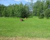 235041 TWP Road 932, Notikewin, Alberta T0H2V0, 3 Bedroom Bedrooms, 0 ,1 BathroomBathrooms,Residential,For Sale,TWP Road 932,0,A2327356