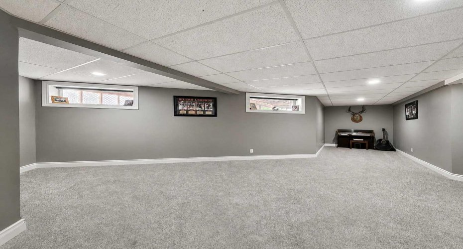 Basement Bedroom/Family/Living Room.