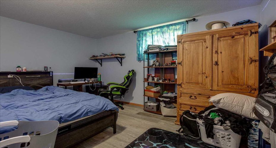 Basement Bedroom 1