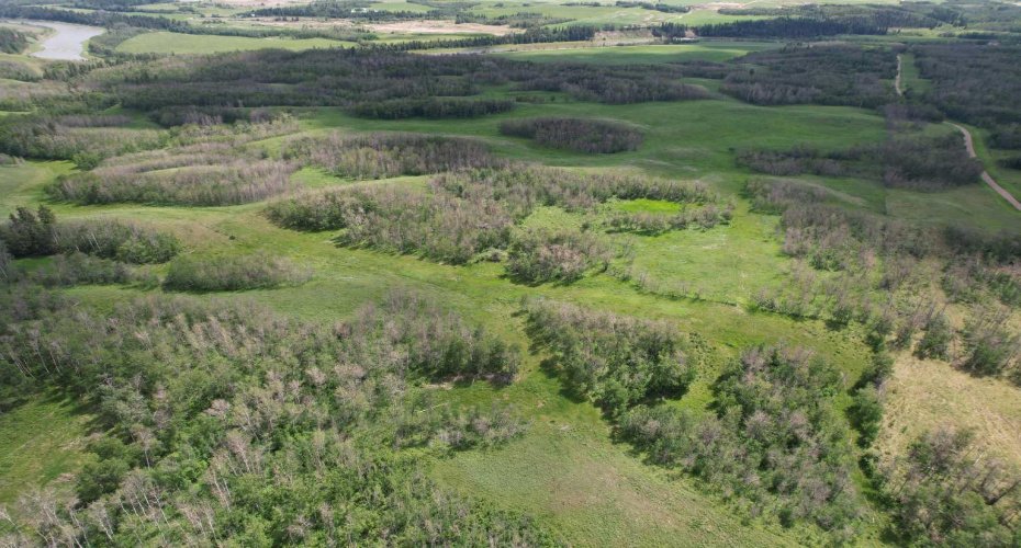 38105 Range Road 244, Rural Lacombe County, Alberta T0C 0Y0, 5 Bedroom Bedrooms, 0 ,3 BathroomBathrooms,Agri-business,For Sale,Range Road 244,0,A2322750