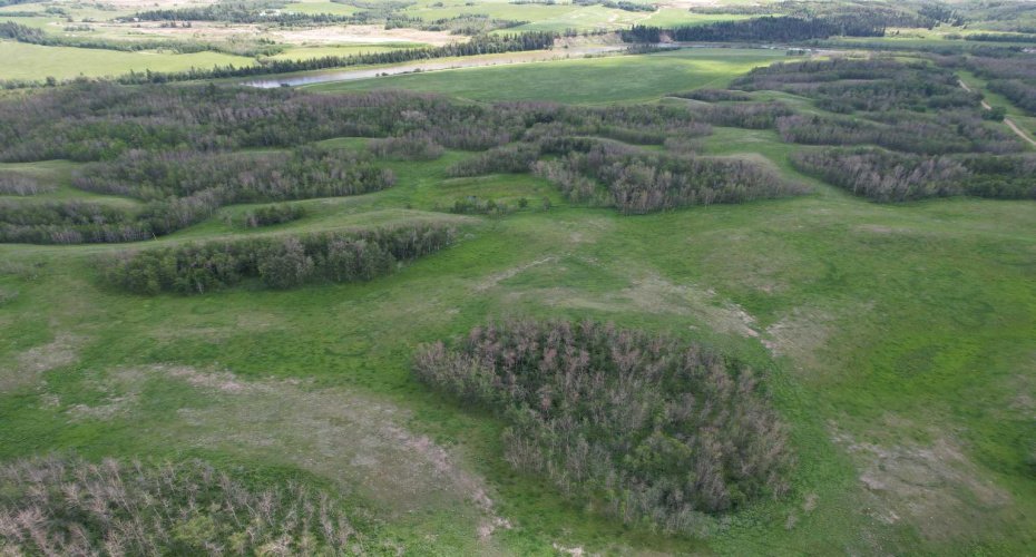 38105 Range Road 244, Rural Lacombe County, Alberta T0C 0Y0, 5 Bedroom Bedrooms, 0 ,3 BathroomBathrooms,Agri-business,For Sale,Range Road 244,0,A2322750