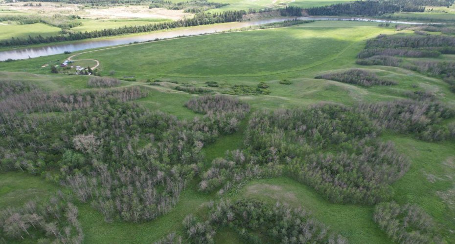 38105 Range Road 244, Rural Lacombe County, Alberta T0C 0Y0, 5 Bedroom Bedrooms, 0 ,3 BathroomBathrooms,Agri-business,For Sale,Range Road 244,0,A2322750
