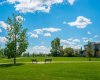 620 Luxstone Landing, Airdrie, Alberta T4B 0B6, 3 Bedroom Bedrooms, 0 ,3 BathroomBathrooms,Residential,For Sale,Luxstone,0,A2323168