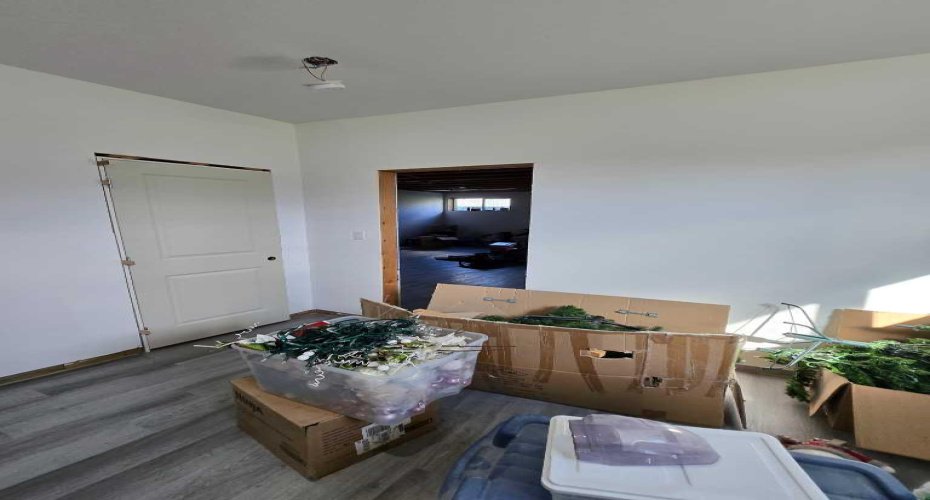 Basement Bedroom 2