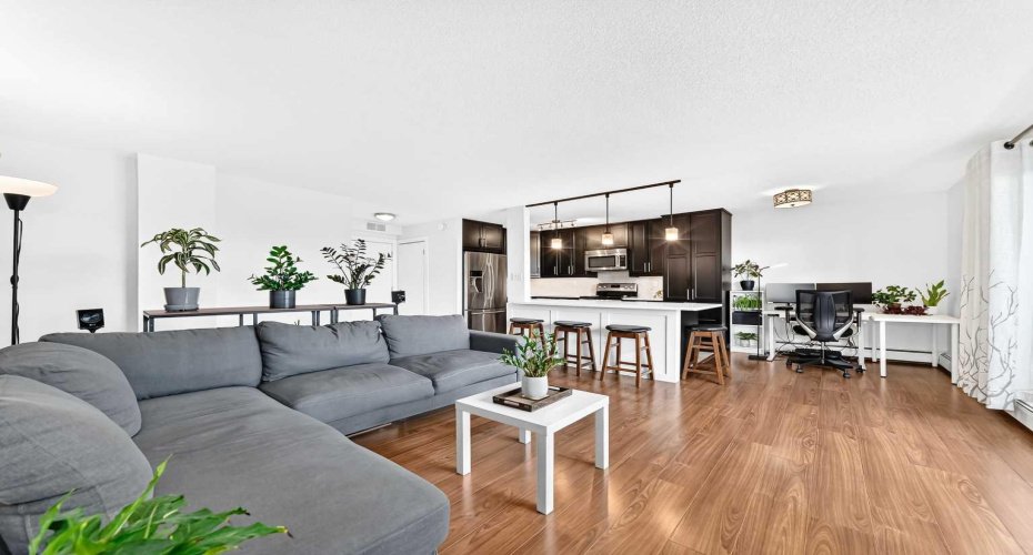Large living room