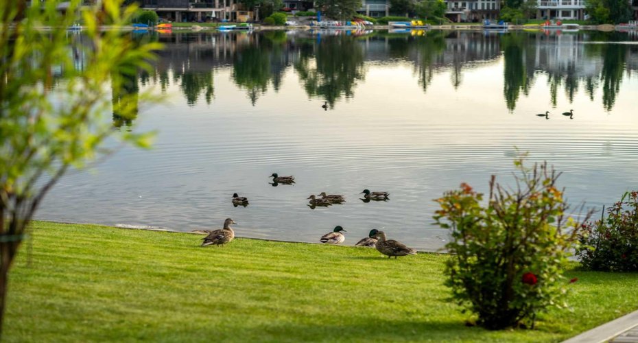 Lakefront Living