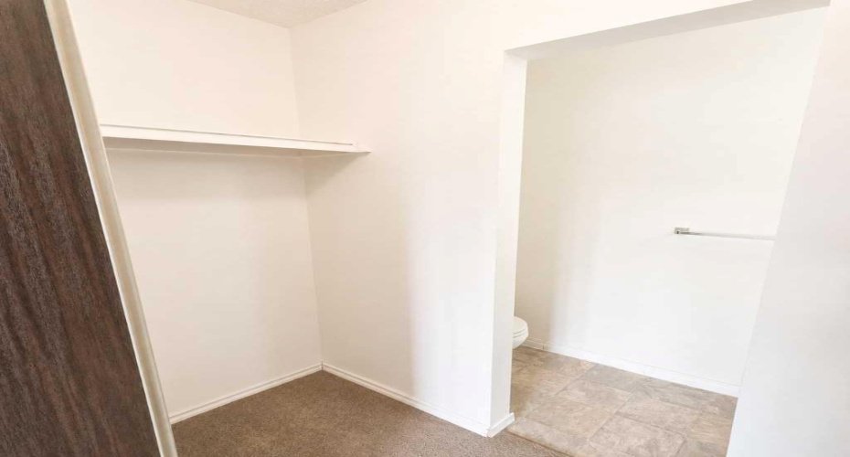 Walk thru Closet
