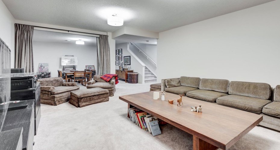 Lower living room