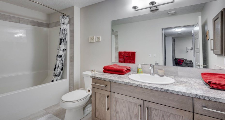 Lower bathroom