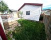 Backyard-3