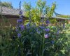 2909 17 Avenue, Calgary, Alberta T3E 0B1, 2 Bedroom Bedrooms, 0 ,1 BathroomBathrooms,Residential,For Sale,17,0,A2306308